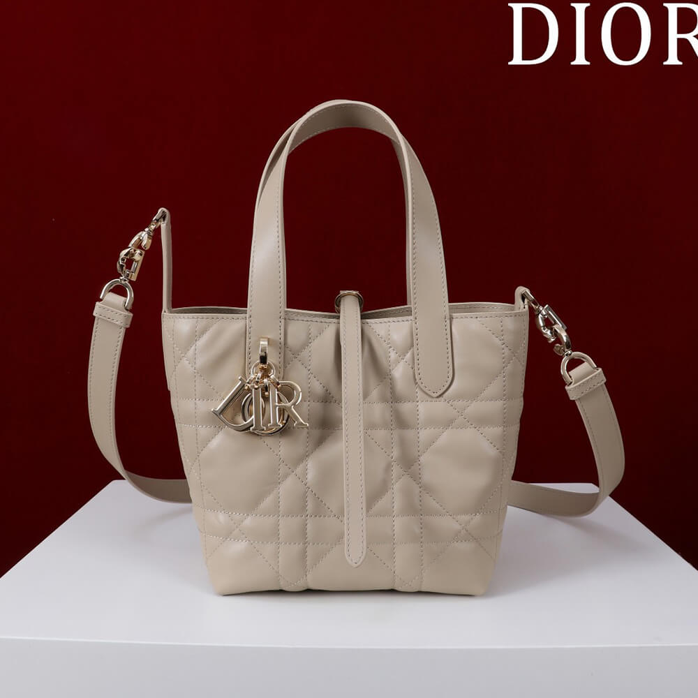 Small Dior Toujours Vertical Tote Bag(high-end grade)